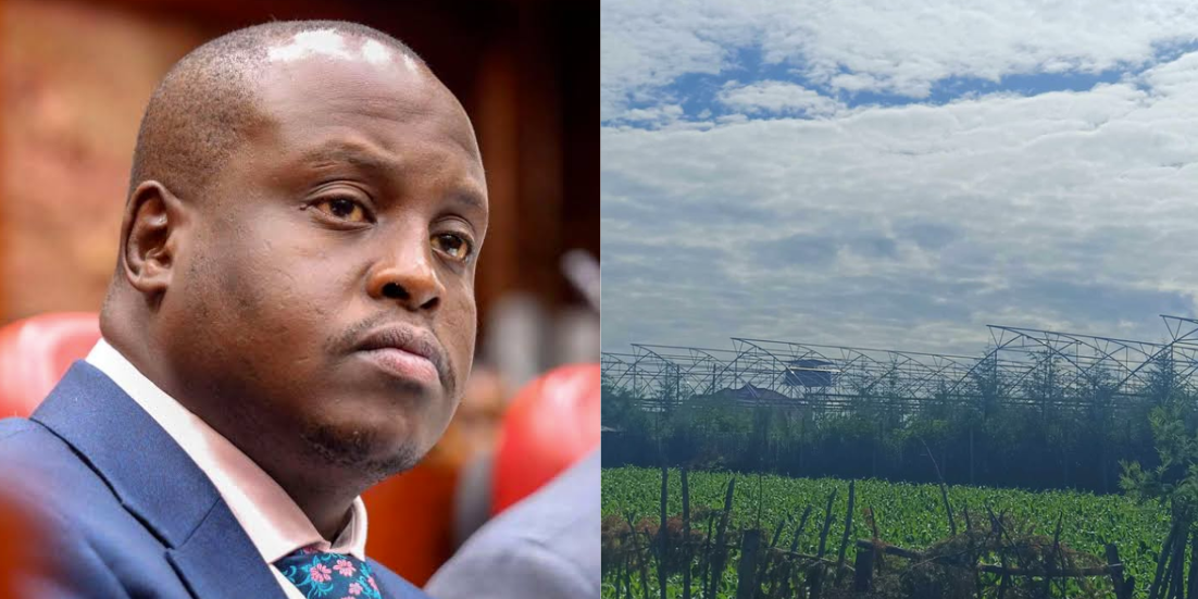EPRA Boss Daniel Kiptoo dragged into controversy as locals protest environmental risks posed by private developments linked to his family in Uasin Gishu.