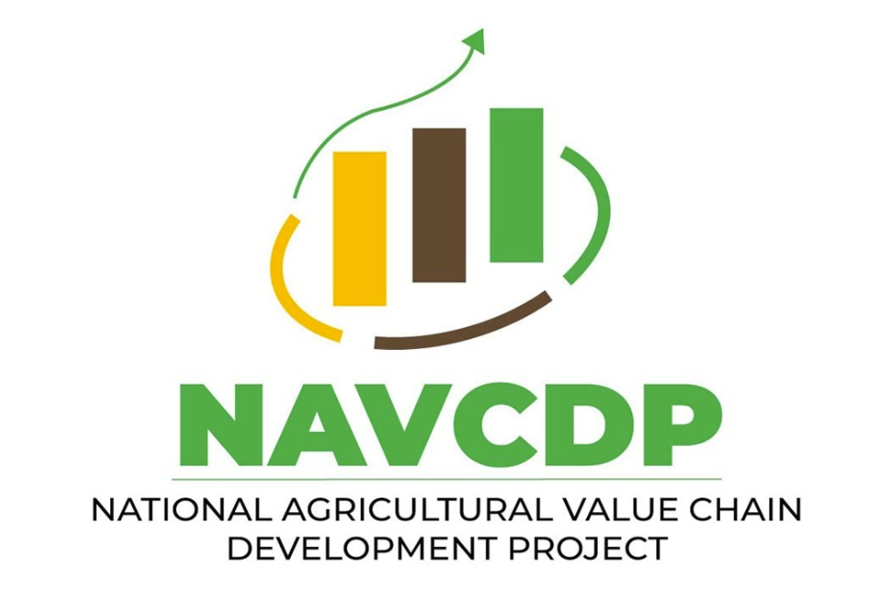 Agripreneurs in Kisii County demand payment for work done under the NAVCDP project, accusing the county of breaching contract terms.