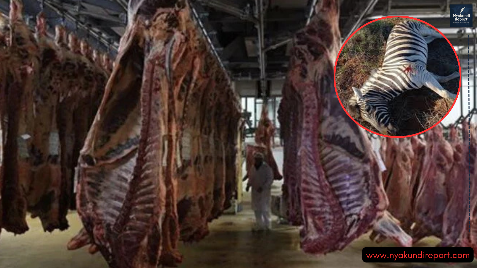 Illegal Zebra Meat Operation Busted Inside Kiambu Apartment as Police Seize Over One Tonne