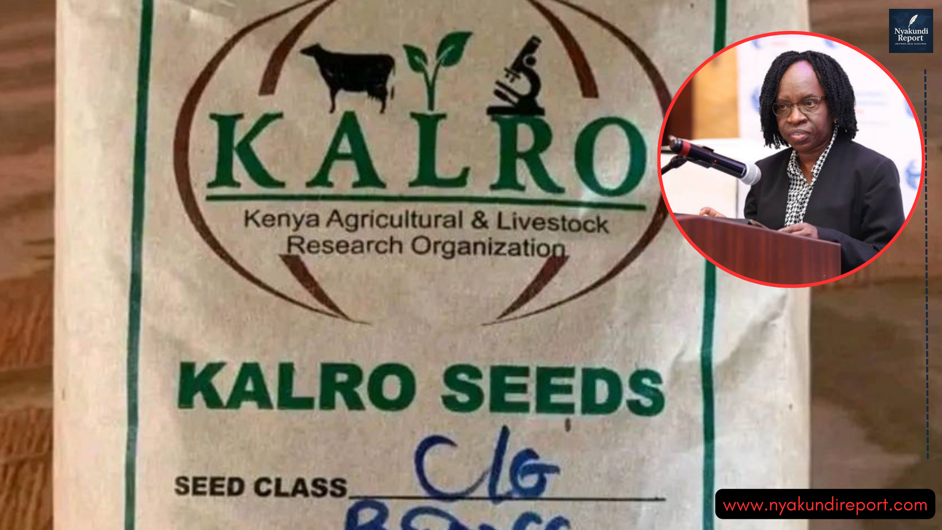 Audit Reveals KALRO Bank Accounts Operate 191 Channels as MPs Raise Concerns Over Possible Fund Siphoning