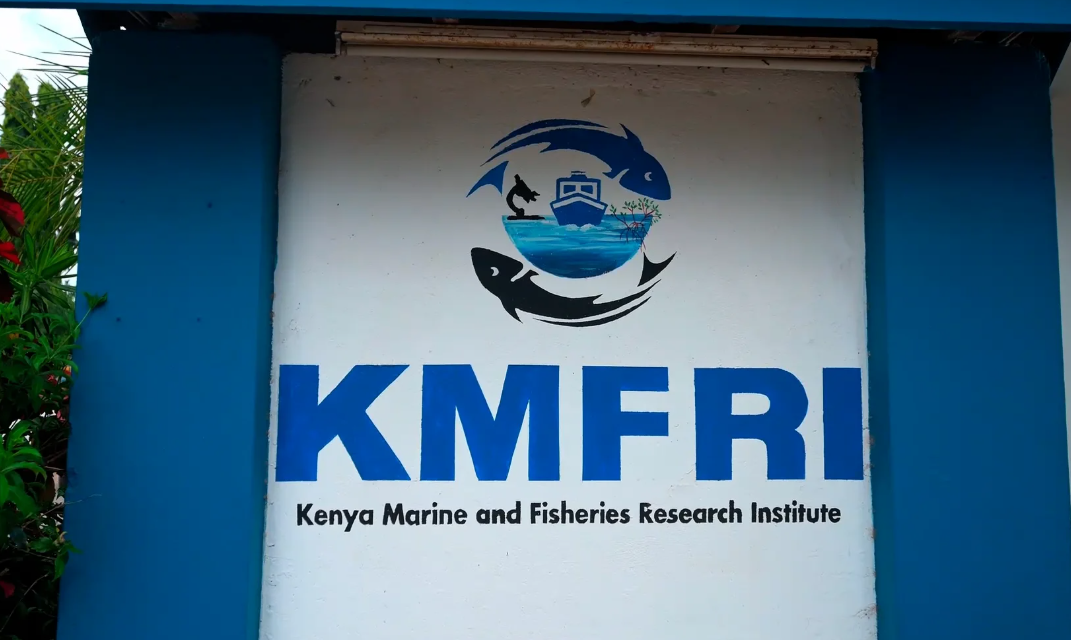Whistleblowers expose KMFRI leadership for nepotism and deliberate manipulation of advertised job vacancies.