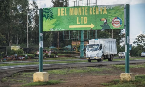 Del Monte Land Under Siege as State Launches Compulsory Acquisition Drive
