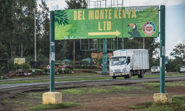 Del Monte Land Under Siege as State Launches Compulsory Acquisition Drive