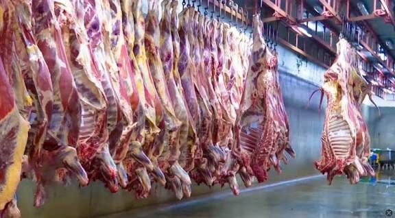 Kenya’s meat industry urged to strengthen coordination from farms to retailers