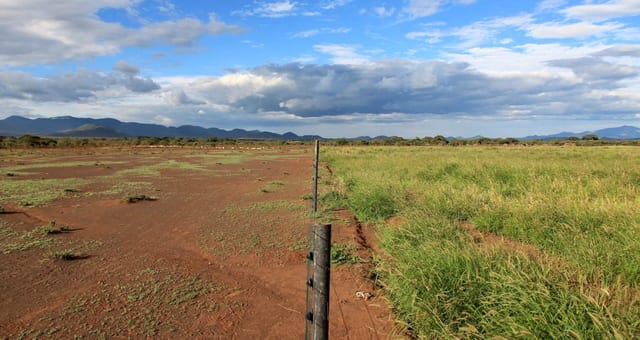 Kenyan businesses urged to treat land restoration as an economic opportunity
