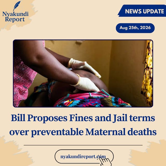 Bill proposes fines and jail terms over preventable maternal deaths