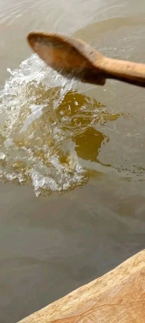 Another image showing the effects of green waste in the water