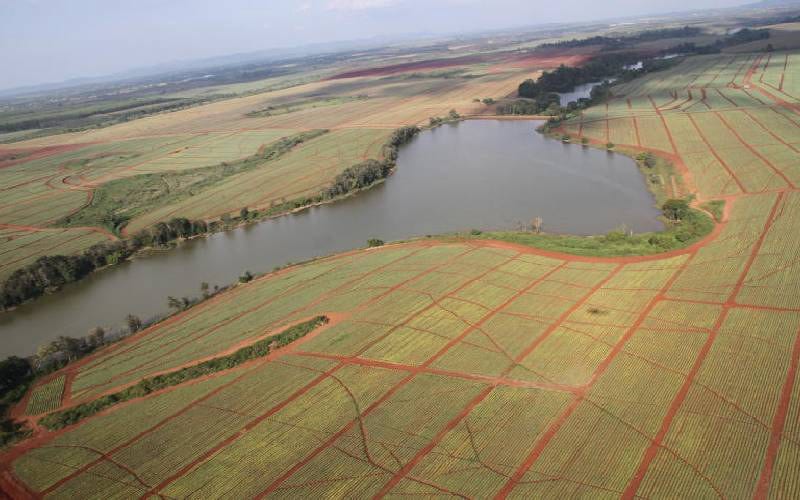The Del Monte land battle now pits public infrastructure needs against private property rights, with compensation likely to determine the next legal showdown.