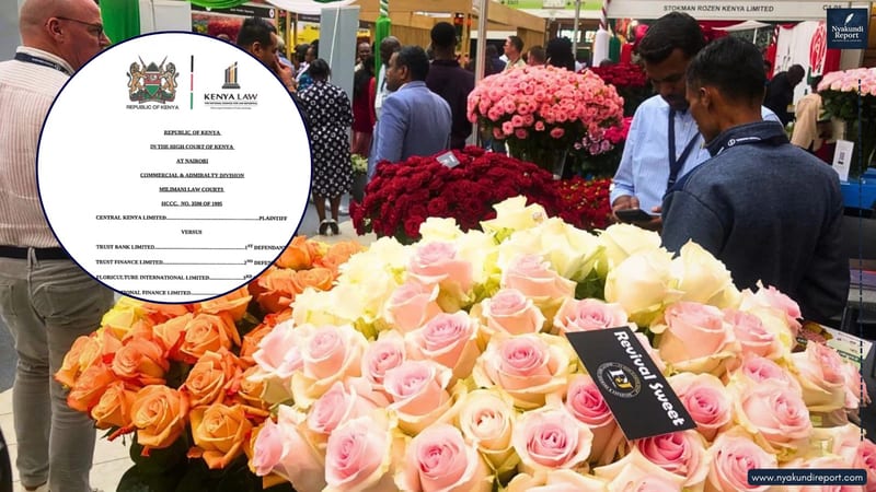 Floriculture International Limited, Central Kenya Limited, DCC James Muiruri and the courts are central to a dispute over ownership, vacant possession and enforcement of rulings.