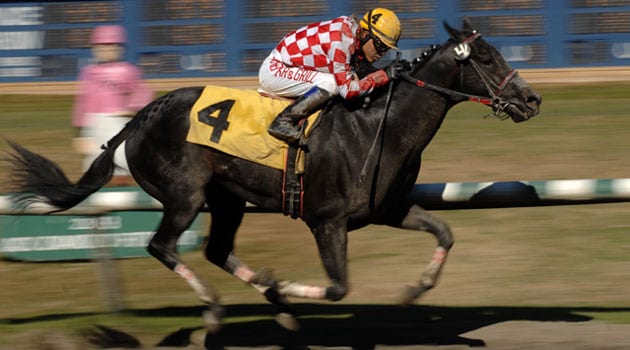HORSE-RACING