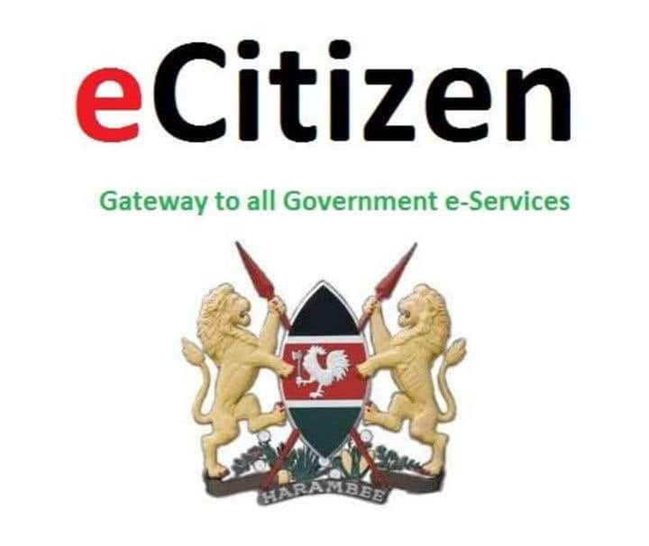 e-Citizen