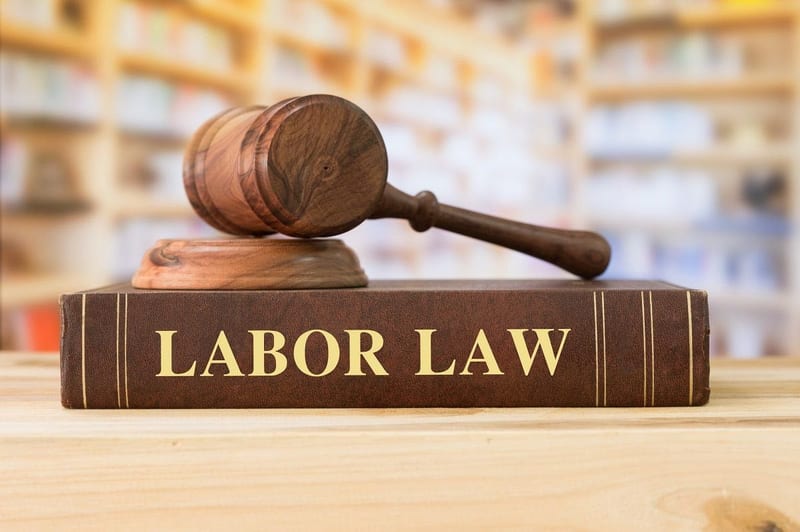 Hammer labor law