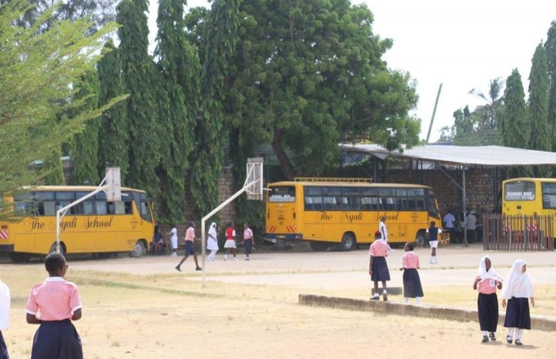 Nyali school buses
