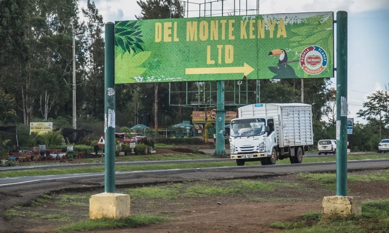 Del Monte Land Under Siege as State Launches Compulsory Acquisition Drive