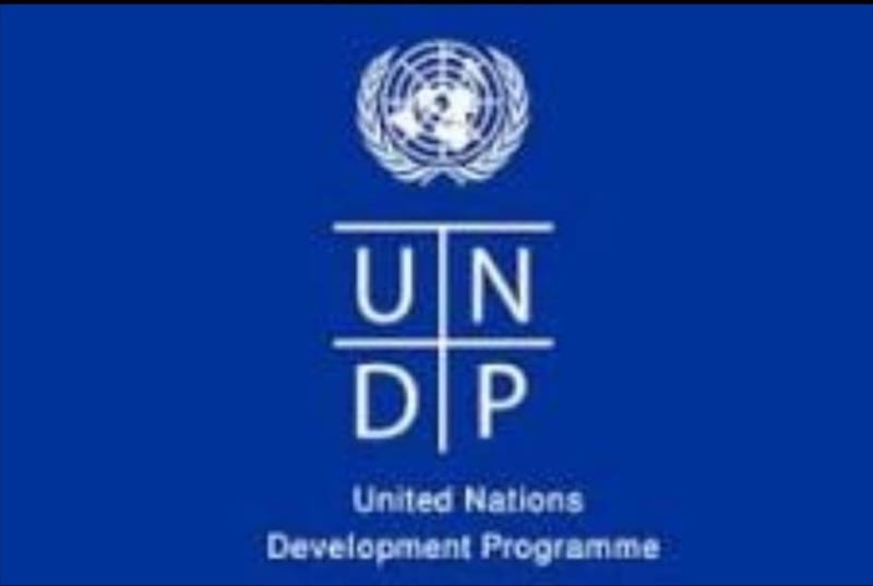UNDP logo
