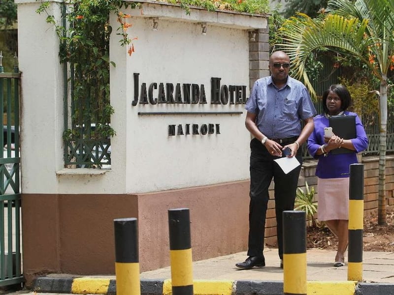 jacaranda