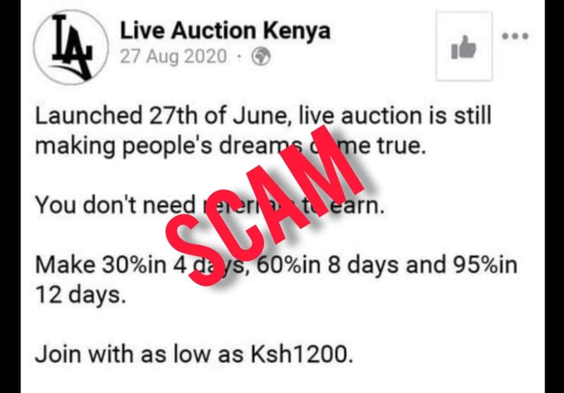 Live Auction Scam Profile