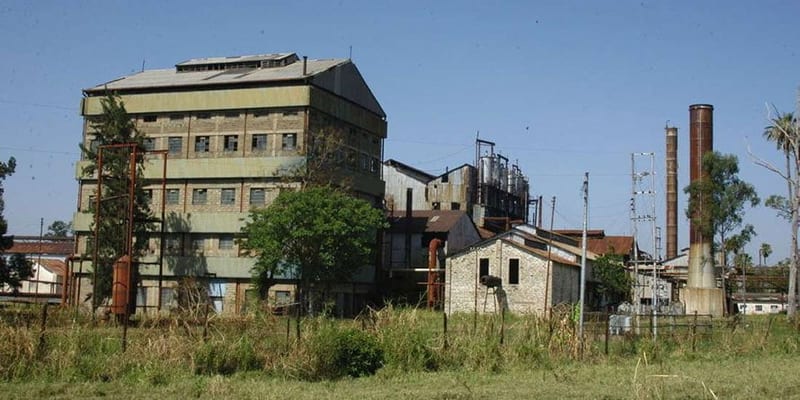 miwani