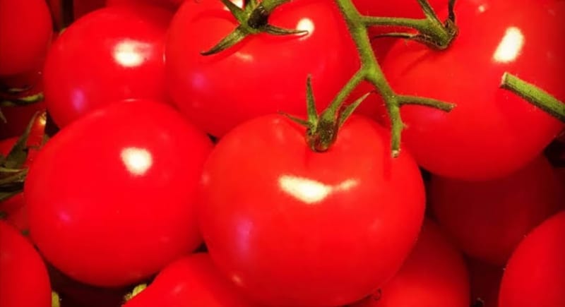 What Made Tomato Prices Shoot Up