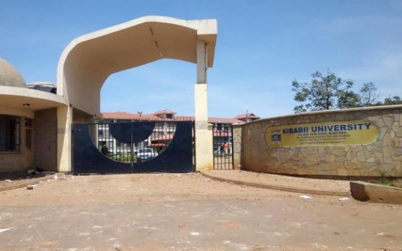 Kibabii University