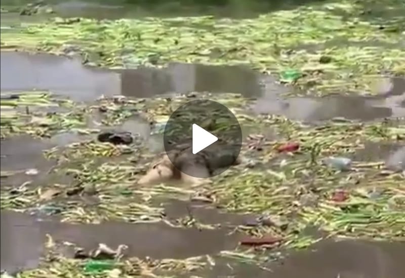 KOT Reacts After Video Posted Showing Human Body Floating On Athi River