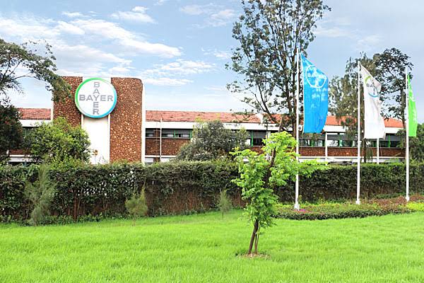 Bayer East Africa Monsanto