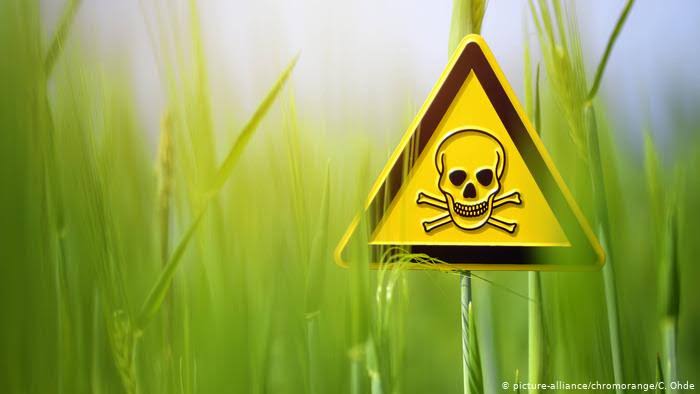 Monsanto 2 profile