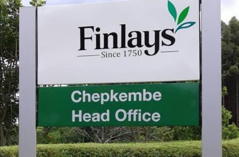 Finlays Kenya Sacks Staff