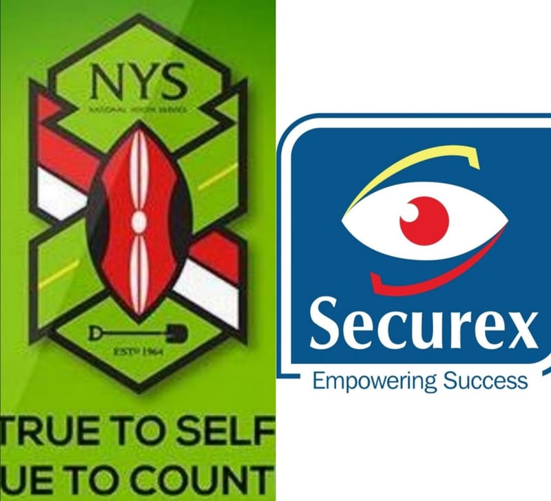 Plundered NYS Forces 222 Securex Security Staff Out Of Jobs