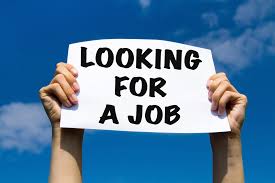job search seeking