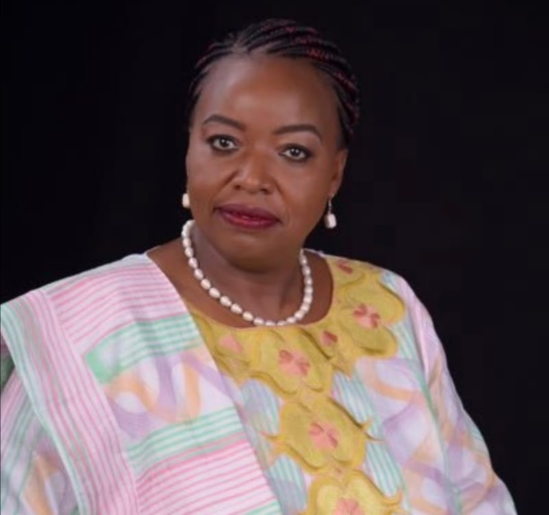 Rogue Jubilee Government Seeks Support For The UNSC Seat