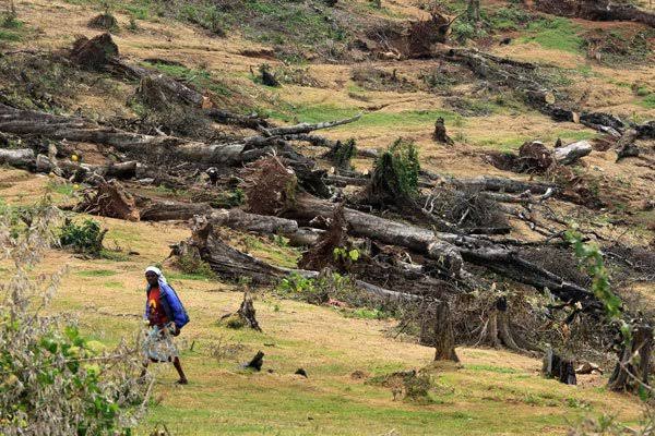 How land in Mau Forest was sold off for as little as Ksh. 4,000