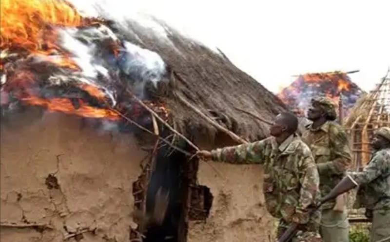 OPINION: Postpone Mau Forest Evictions Until After Exams