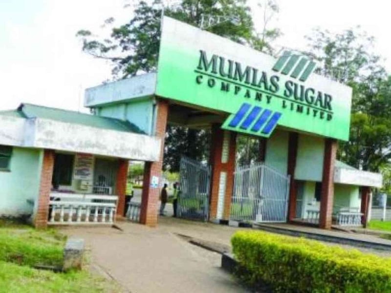 mumias