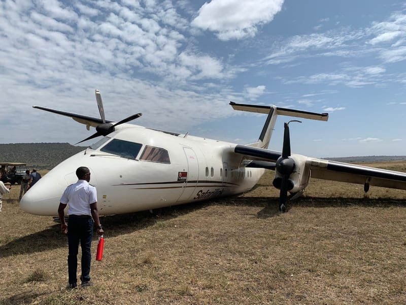 PICS: Aircraft hits a wildebeest while landing at Kichwa Tembo.