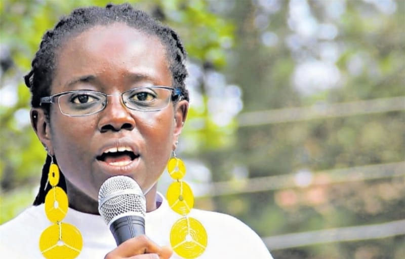 'The Data You Collected Is Not Verifiable', Elections Observation Group Tells Punguza Mzigo Initiative And IEBC