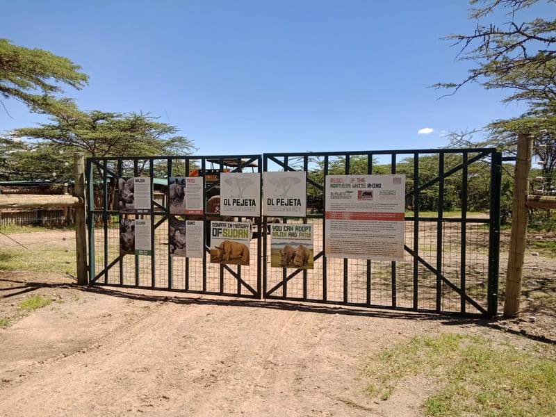 Ol-Pejeta-Main-Gate