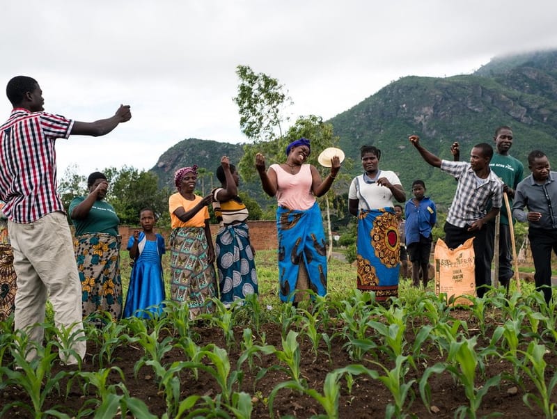 One acre fund