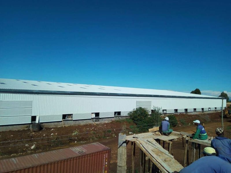Alert Tobiko: Tea Factory In Bomet County Polluting River