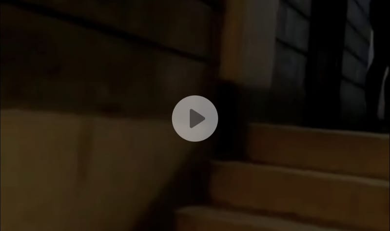 Video: New footage shows Natalie Tewa picking up her luggage from her ex-boyfriend's house