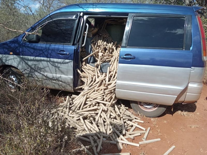 Photos: Marijuana Worth Ksh. 10 Million Shillings Impounded In Mwatate