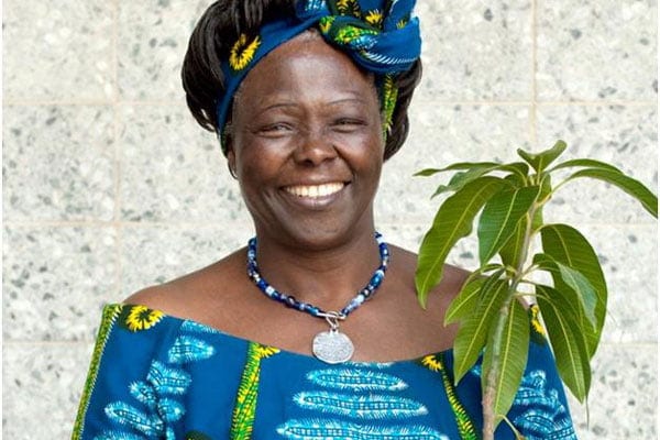 School Built In Honour Of Professor Wangari Maathai In France