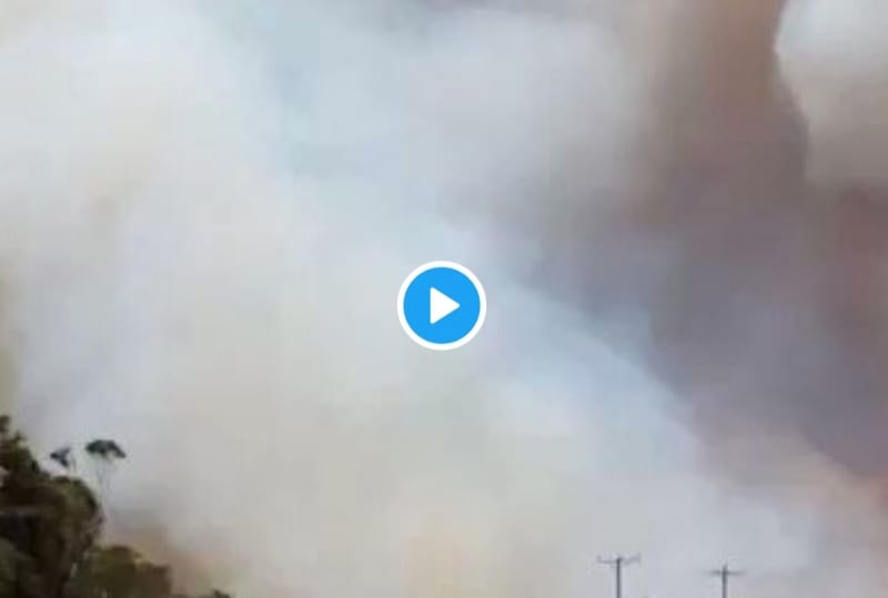 [Video] Arabuko Sokoke Forest On Fire