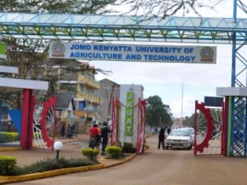 JKUAT KILLINGS: Another Student Stabbed In Juja, One Suspect Burnt To Death