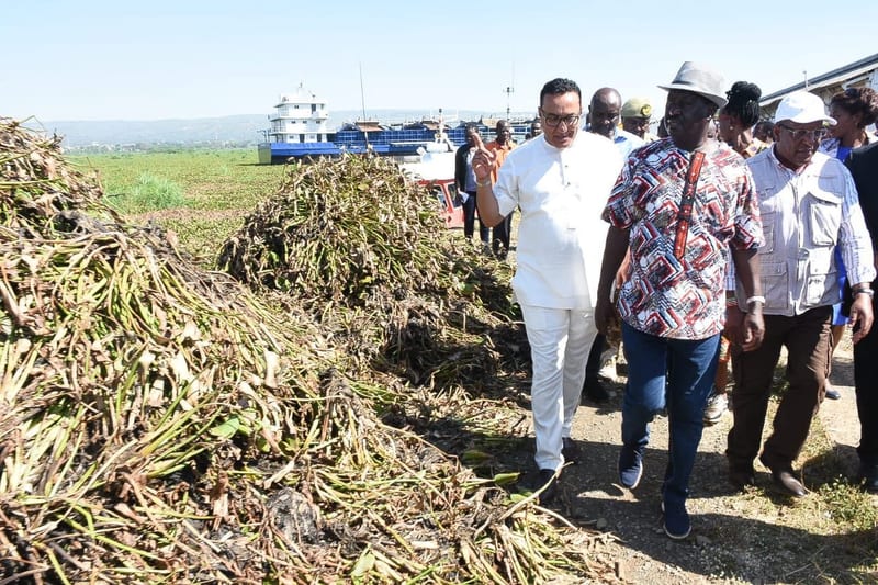 ENVIRONMENTAL CONSERVATION: Raila Odinga Oversees Water Hyacinth Removal; Residents Claim Machines Lie Idle at Ports