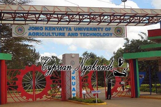 Insecurity In Juja Town: JKUAT Student Narrates His Experience Under The Hands Of Brutal Killers