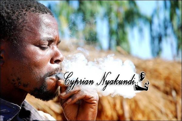 The World Health Organization Suggests The Removal Of Marijuana From The List Of Harmful Drugs