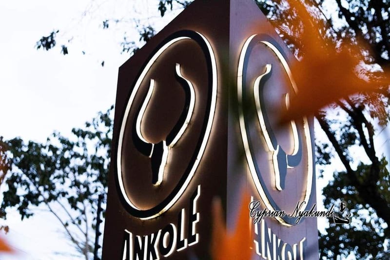 “I Was Harassed By Babu Owino's Bodyguards At Your Restaurant” — Ankole Grill Restaurant In Trouble After Female Customer...