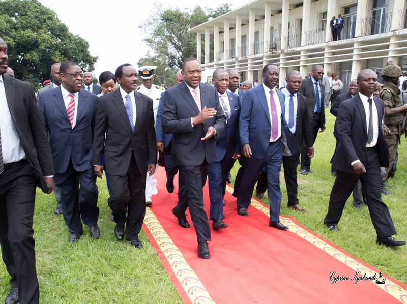 Photo Of Kalonzo Musyoka Walking On Grass As Raila & Uhuru Share Red Carpet Excites Kenyans On Social Media