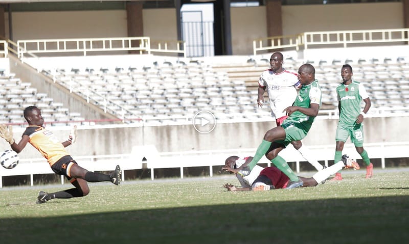 image (1)